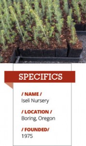 Iseli Nursery