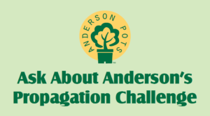 anderson-prop-challenge